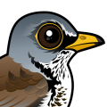 Birdorable Fieldfare