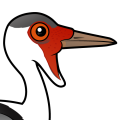 Birdorable Wattled Crane