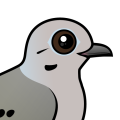 Birdorable Mourning Dove