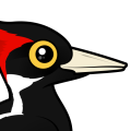 Birdorable Ivory-billed Woodpecker