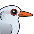 Birdorable Kagu