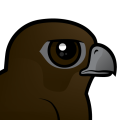 Birdorable Black Falcon