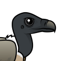Birdorable Slender-billed Vulture
