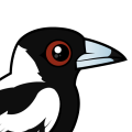 Birdorable Australian Magpie