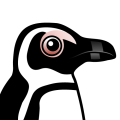 Birdorable African Penguin