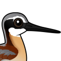 Birdorable Wilson's Phalarope