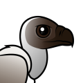 Birdorable White-backed Vulture