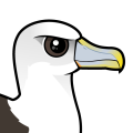 Birdorable Shy Albatross