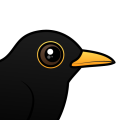 Birdorable Blackbird