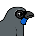Birdorable Kokako