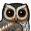 Birdorable Flammulated Owl