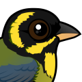 Birdorable Gold-ringed Tanager