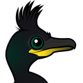 Birdorable European Shag