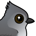 Birdorable Oak Titmouse