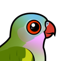 Birdorable Princess Parrot