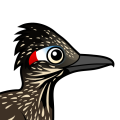 Birdorable Greater Roadrunner
