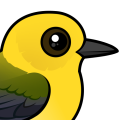 Birdorable Prothonotary Warbler