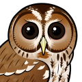 Birdorable Tawny Owl