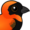 Birdorable Southern Red Bishop