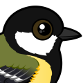 Birdorable Great Tit