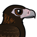 Birdorable Wedge-tailed Eagle