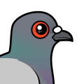 Birdorable Rock Pigeon
