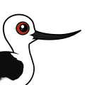 Birdorable Andean Avocet