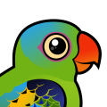Birdorable Blue-naped Parrot