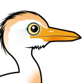 Birdorable Cattle Egret
