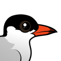 Birdorable Common Tern