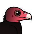 Birdorable Turkey Vulture