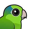 Birdorable Pacific Parrotlet