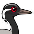 Birdorable Demoiselle Crane