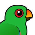 Birdorable Eclectus Parrot