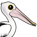 Birdorable Australian Pelican