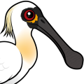 Birdorable Black-faced Spoonbill