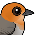 Birdorable Brown-flanked Tanager