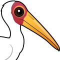 Birdorable Yellow-billed Stork