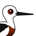 Birdorable Banded Stilt
