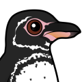 Birdorable Galapagos Penguin