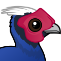 Birdorable Vietnam Pheasant