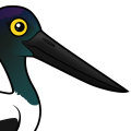 Birdorable Black-necked Stork