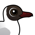 Birdorable Black-headed Gull