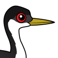 Birdorable Western Grebe