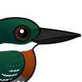 Birdorable Green Kingfisher