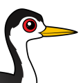 Birdorable Clark's Grebe