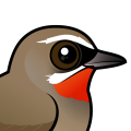 Birdorable Siberian Rubythroat