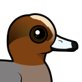 Birdorable Eurasian Wigeon