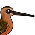 Birdorable Long-billed Dowitcher