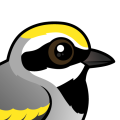 Birdorable Golden-winged Warbler
